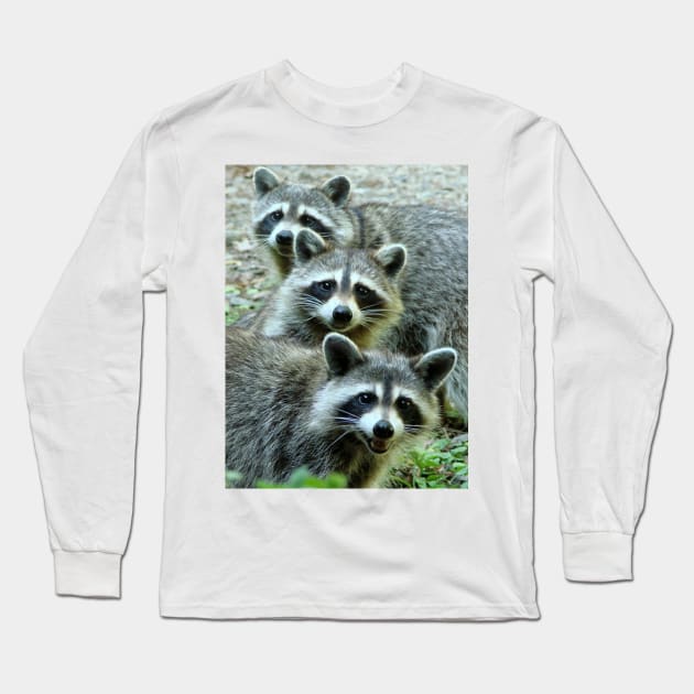 Three Raccoon Long Sleeve T-Shirt by JeanGregoryEvans1